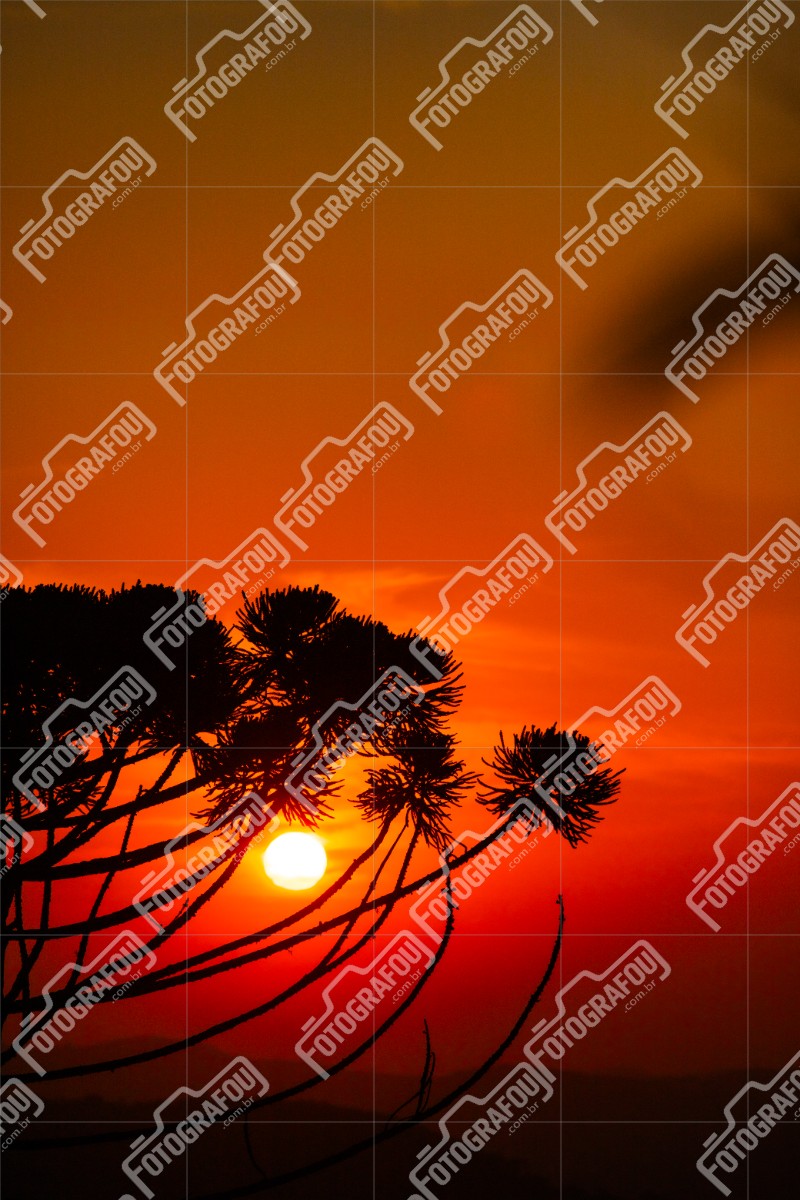 Pôr do Sol
